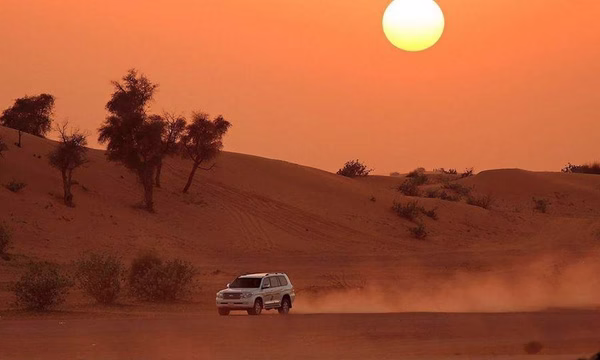 Tourists enjoying dune bashing and camel rides as part of exciting Dubai desert safari packages in the golden sands of Desert Safari Dubai.
