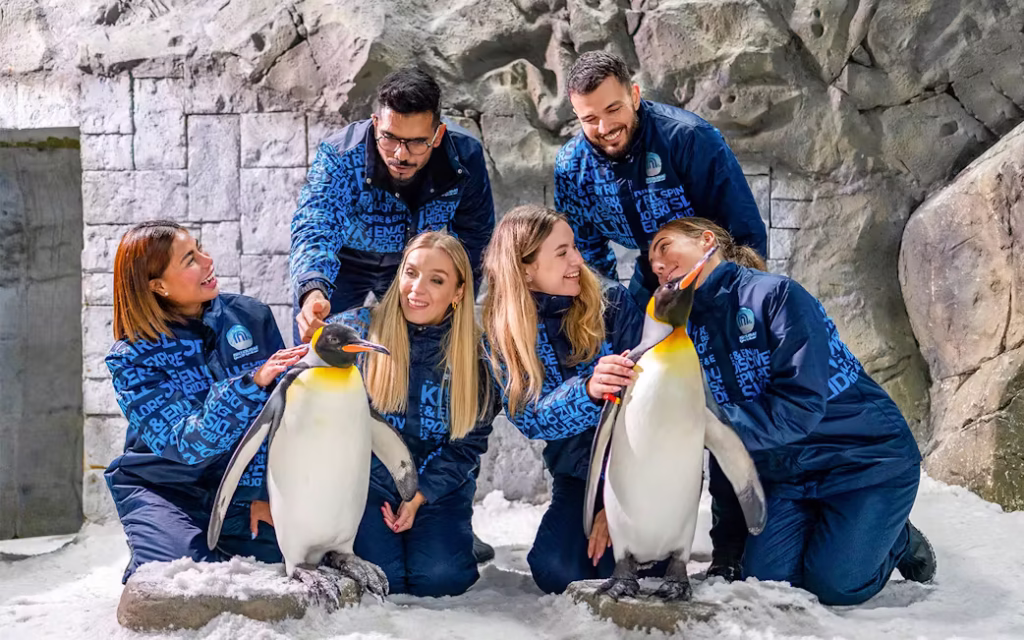 Tourists enjoying top Things to Do in Dubai in August including indoor attractions and summer activities.