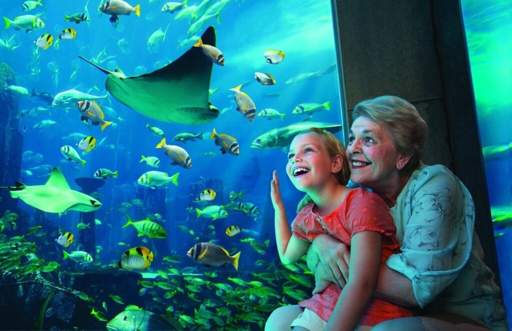 Visitors walking through the glass tunnel Aquarium with marine life all around with Atlantis Lost Chambers Tickets in hands.