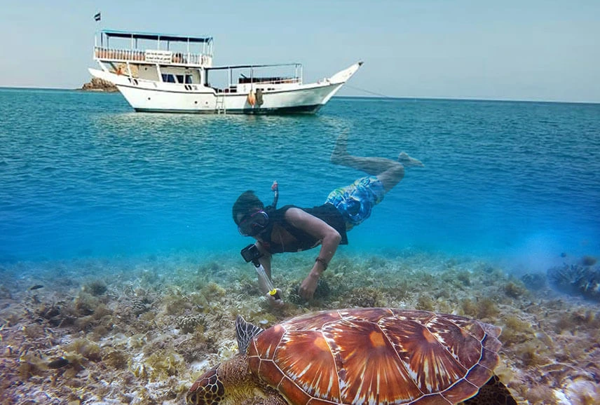 Dhow sailing through Dibba Musandam fjords under the sun – dibba musandam cruise deals