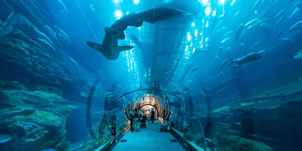› Forever Tourism LLC Tourist walking through the glass tunnel with sharks and rays swimming above at Lost Chambers Aquarium — a must-see with lost chambers tickets