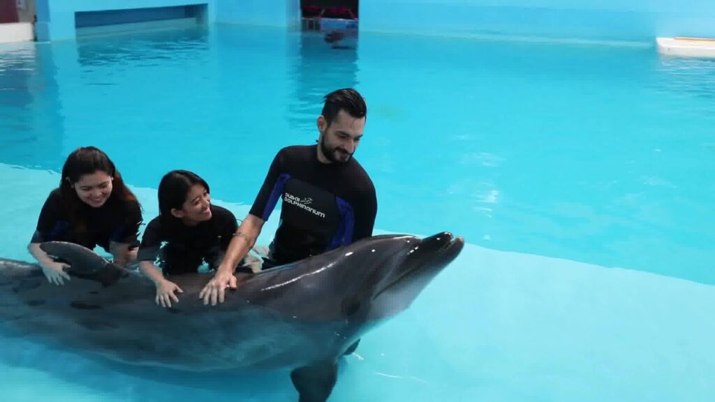 Family enjoying Dolphin Show Tickets at Dubai Dolphinarium