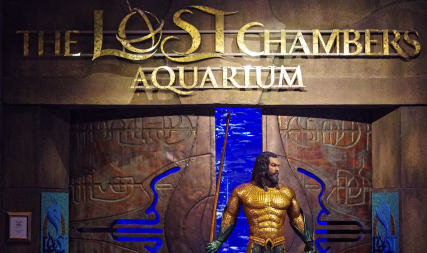 Atlantis Lost Chambers Tickets | 3 Reasons It’s Worth It | #AquaEscape
