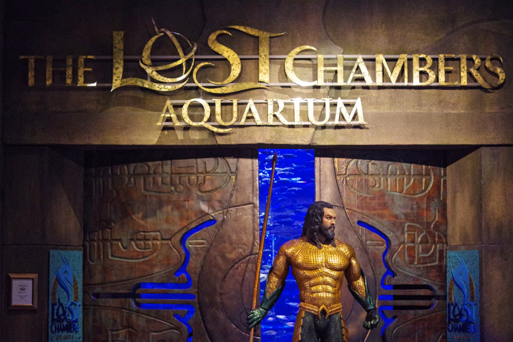 Visitors walking through the glass tunnel Aquarium with marine life all around with Atlantis Lost Chambers Tickets in hands.