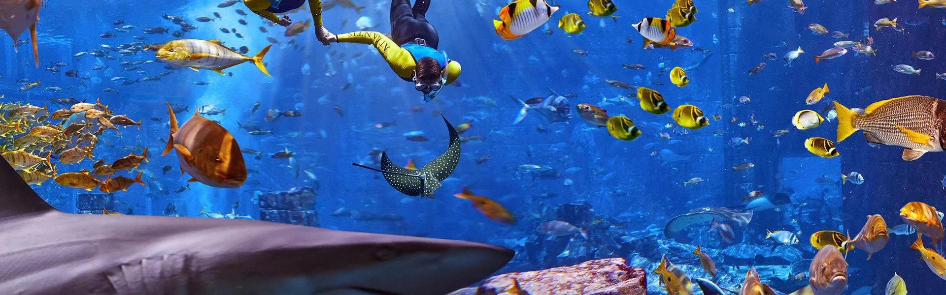 Underwater tunnel at Lost Chambers Atlantis Aquarium with a variety of fish, sharks, rays visible through glass walls.