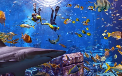 Lost Chambers Atlantis | 20+ Species Inside | #UnderwaterMagic
