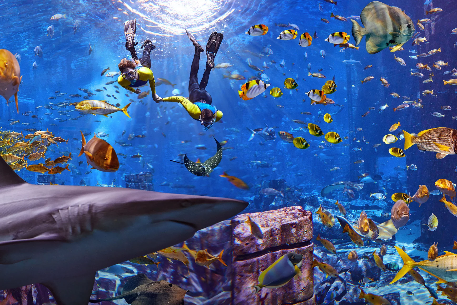 Underwater tunnel at Lost Chambers Atlantis Aquarium with a variety of fish, sharks, rays visible through glass walls.