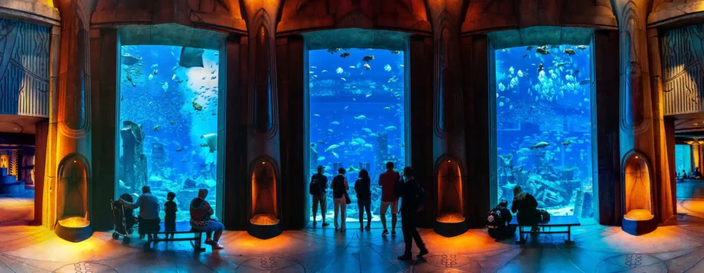 Underwater tunnel at Lost Chambers Atlantis Aquarium with a variety of fish, sharks, rays visible through glass walls.