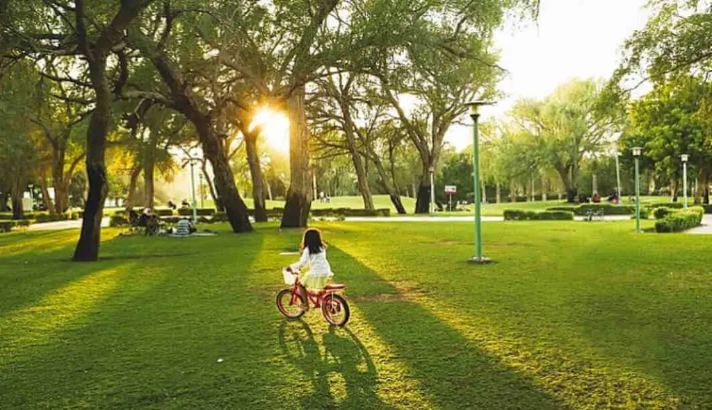 People enjoying their day at picnic places in Dubai with scenic views and greenery in 2025.