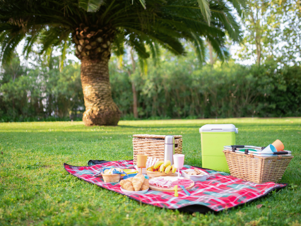 People enjoying their day at picnic places in Dubai with scenic views and greenery in 2025.