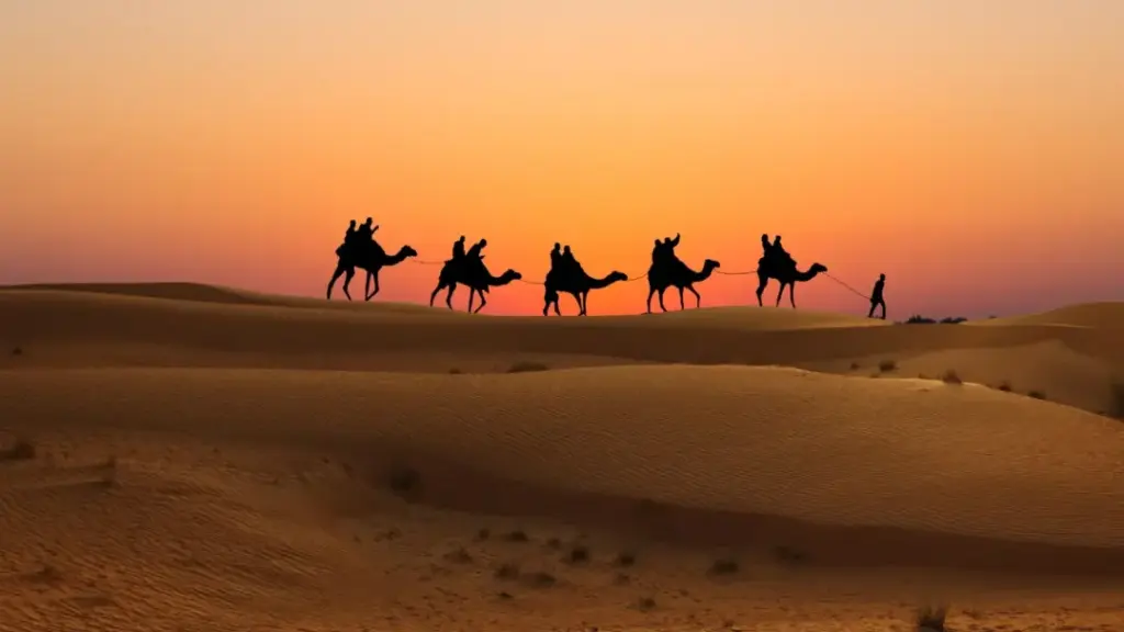 Dubai Desert Safari photos featuring adventurous dune bashing, traditional camel rides, and stunning sunset landscapes over golden sand dunes.