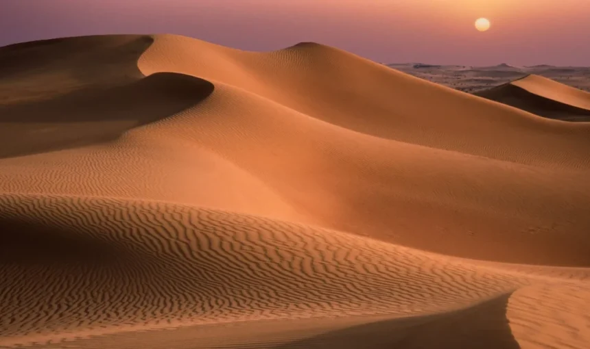 Desert Trip Dubai | Dune Bashing, Sandboarding, Camels & BBQ › Forever Tourism LLC 4×4 cresting red dunes at sunset during a desert trip Dubai
