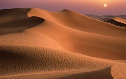 Dubai Sand Dunes | Best Dune Spots, Activities & Travel Tips