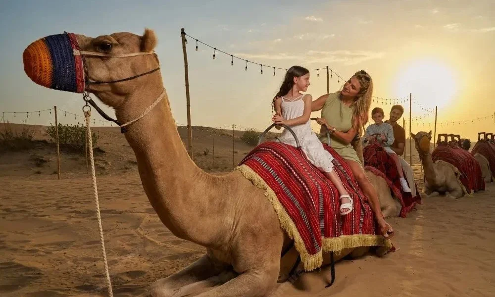 Visitors riding camels and 4x4 vehicles during a Dubai Safari Tour through the desert at sunset, showcasing adventure and culture.