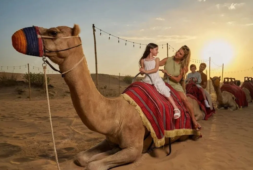 Golden desert sunrise view during a morning safari 6AM ride in Dubai