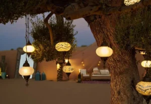 Sunset view of the best evening safari in Dubai with camel ride and desert camp