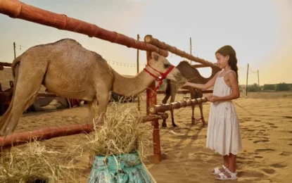 Desert Tour Dubai | Dune Bashing, Sandboarding, Camels & BBQ