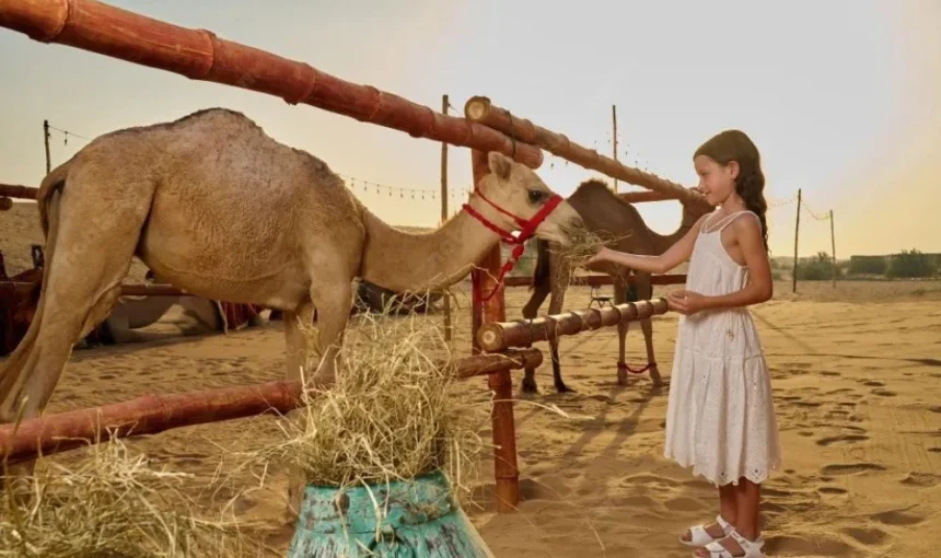 Desert Tour Dubai | Dune Bashing, Sandboarding, Camels & BBQ › Forever Tourism LLC 4×4 cresting red dunes at sunset during a desert tour Dubai
