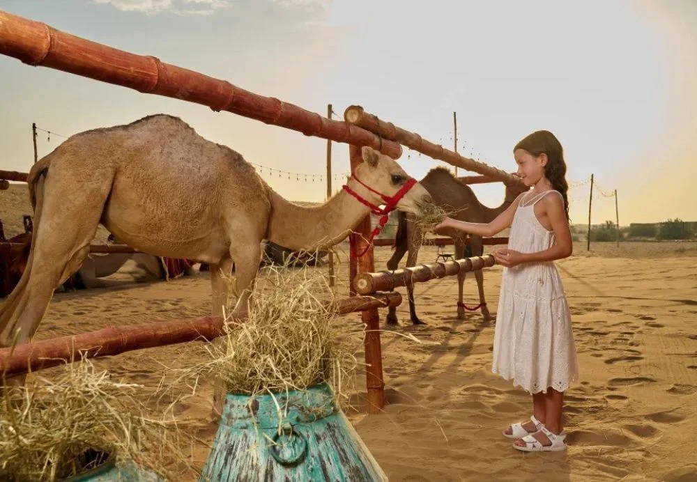 Desert Activities | Dune Bashing, Sandboarding, Quads & BBQ