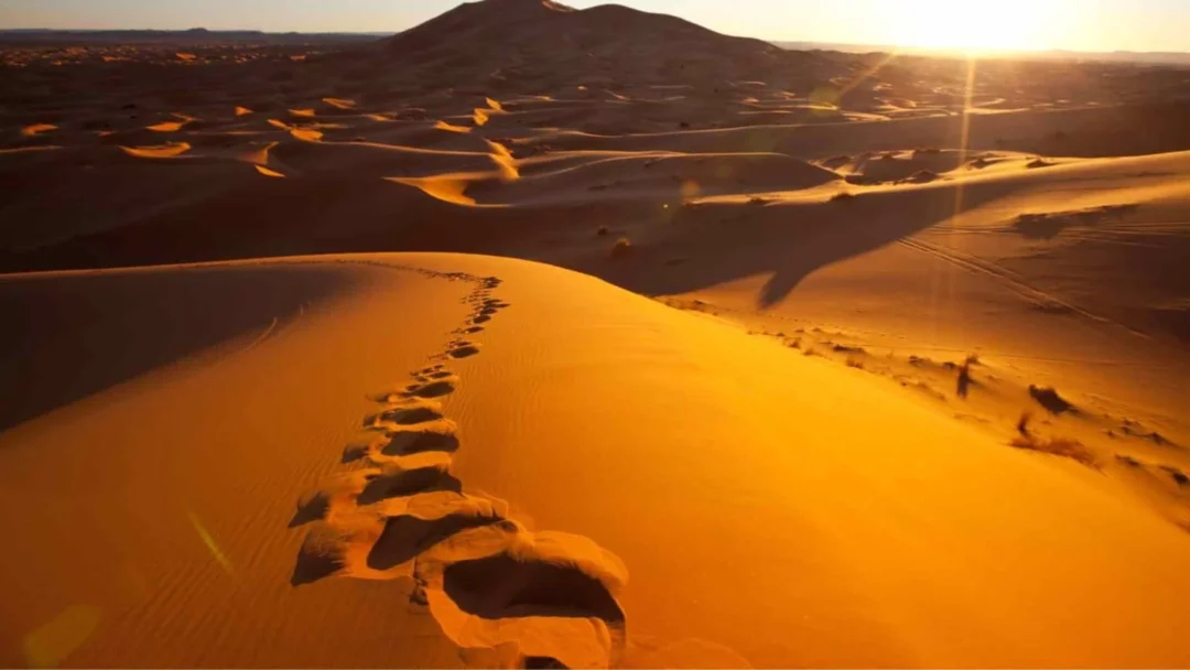 Footprints along golden sand dunes at sunset in the Dubai desert, typical of arabian tours dubai.