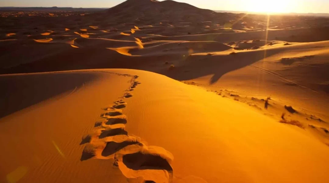 Evening desert safari with quad bike on golden dunes in Dubai