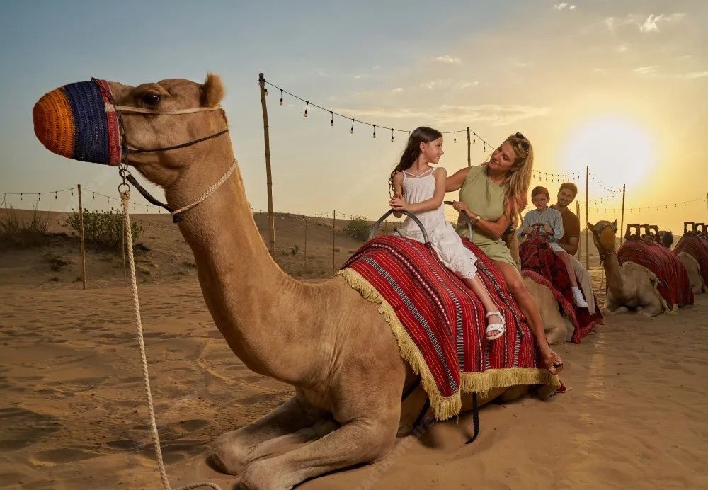 Camel ride adventure at desert safari Dubai camp