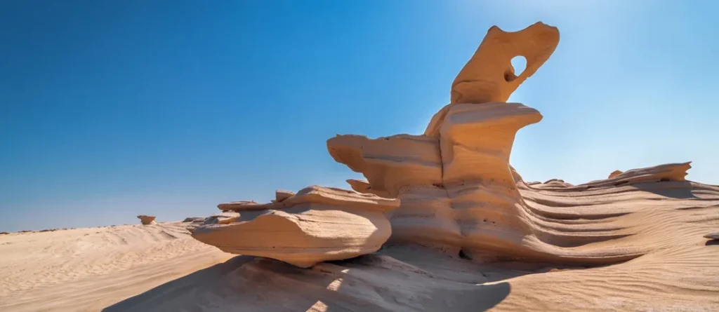 › Forever Tourism LLC view of hidden gem for abu dhabi day trip with Forever Tourism
