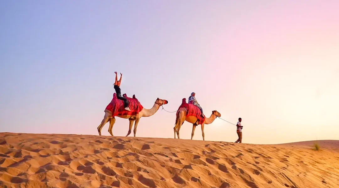 Desert camel walking across golden sand dunes during a scenic sunset ride in Dubai