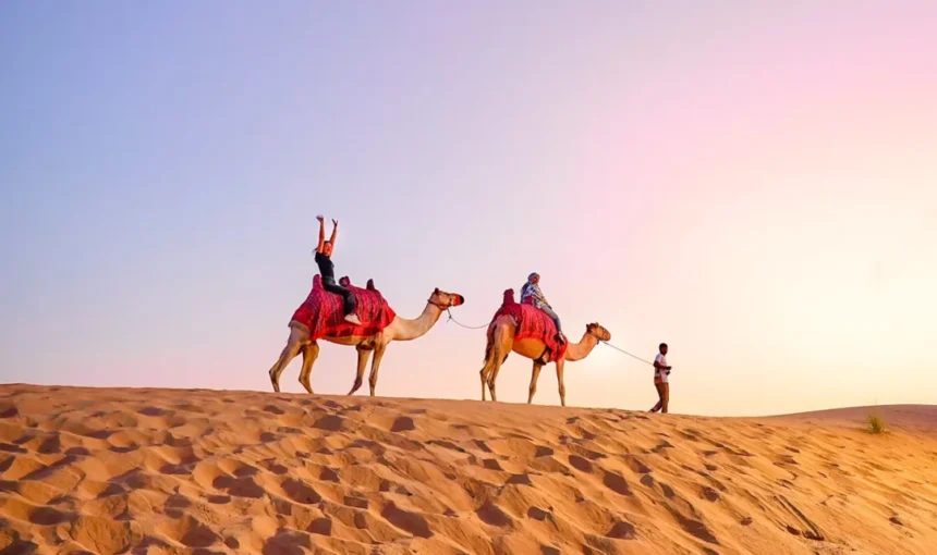 Desert Camel | Sunrise & Sunset Treks, Photos, Camp Add-Ons