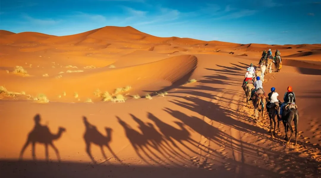 Camel ride Dubai caravan crossing golden sand dunes at sunset, long shadows under a clear blue sky.