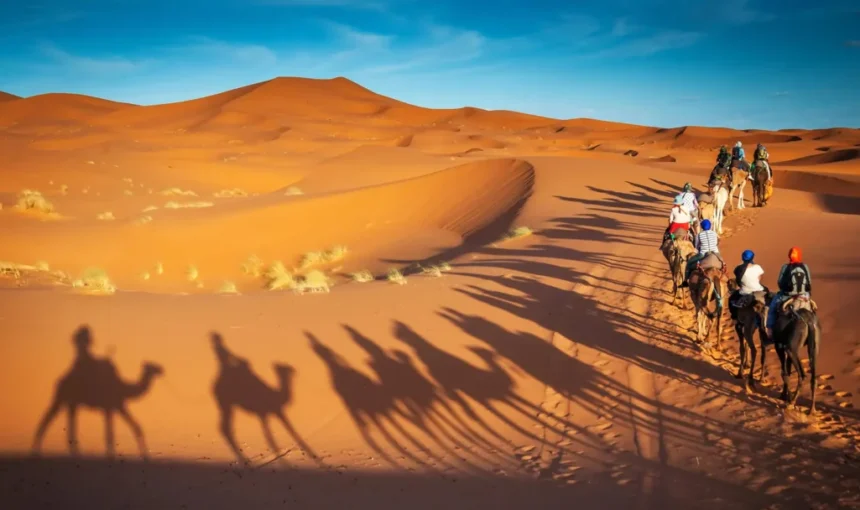 Camel ride Dubai caravan crossing golden sand dunes at sunset, long shadows under a clear blue sky.