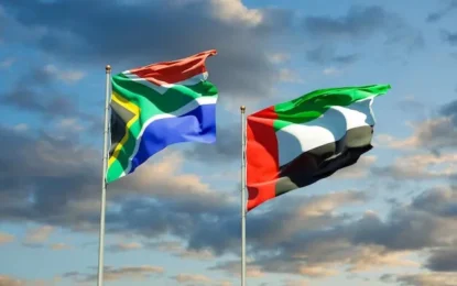 Visa South Africa From Dubai | What Nobody Tells You #VisaHelp