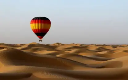 Desert Safari Tours Dubai Reviews: What to Check First