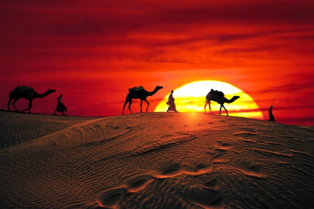 Silhouette of camels and travelers crossing sand dunes in the Sahara Desert Dubai at sunset, with a glowing red-orange sky.