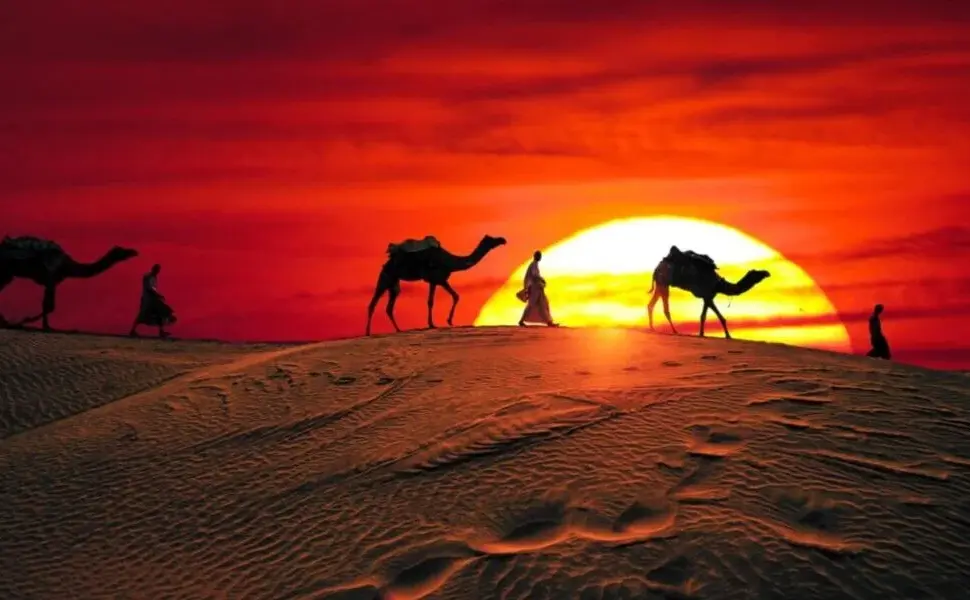 Dubai Desert Background | Best Sunset Spot, Angles & HD Tips › Forever Tourism LLC Dubai desert background featuring golden sand dunes, clear blue skies, and a peaceful Arabian landscape perfect for scenic inspiration.