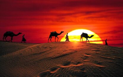 Desert Safari Dubai Price – Best Deals | Forever Tourism