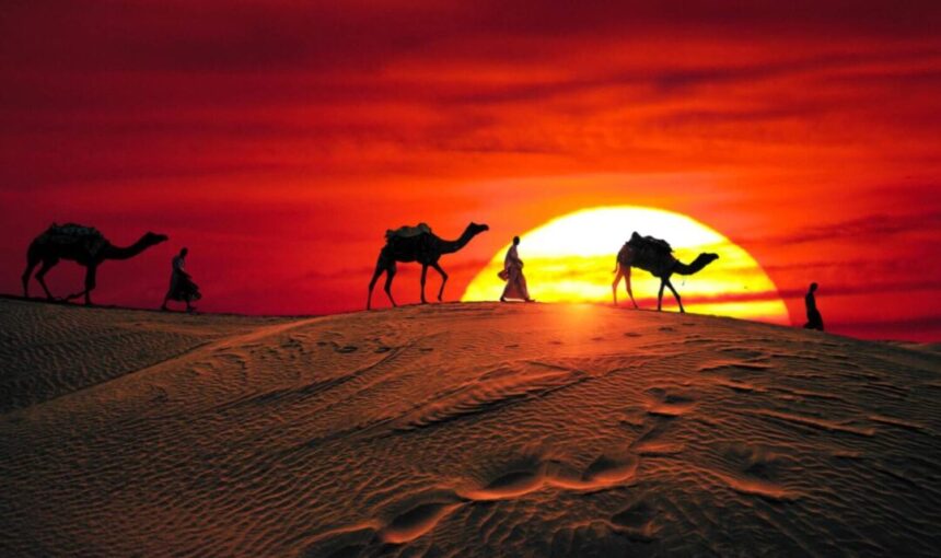 Desert Safari Dubai Price – Best Deals | Forever Tourism