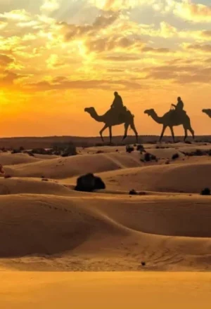 Tourist enjoying a camel ride Dubai experience across golden desert dunes at sunset