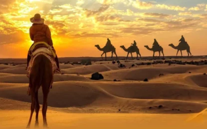 Camel Ride Dubai | Sunrise, Sunset Trek, Photo & Camp Add-On