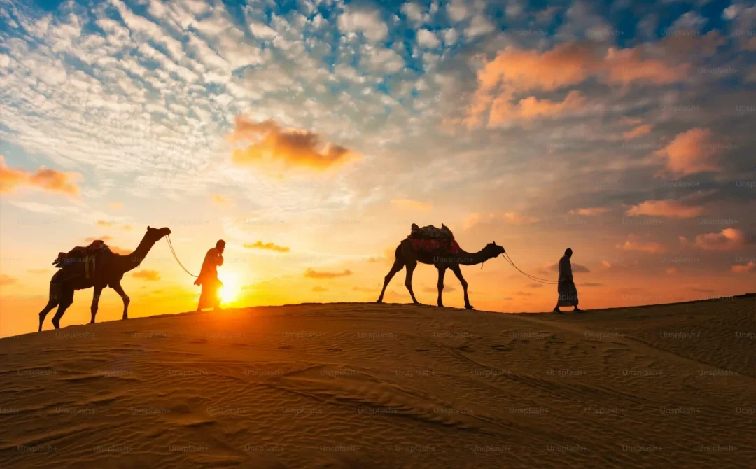 Silhouettes of two guides leading camels over a dune at sunset in the UAE desert.