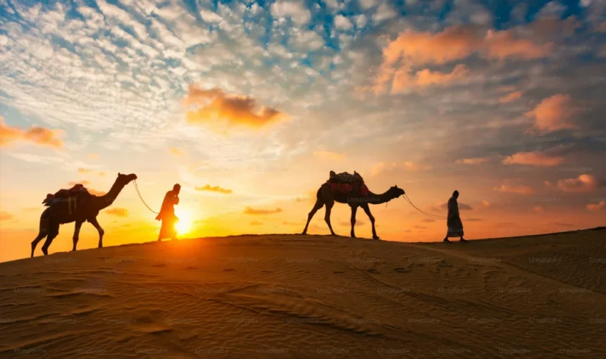premium_photo-1661962542692-4fe7a4ad6b54 › Forever Tourism LLC Silhouettes of two guides leading camels over a dune at sunset in the UAE desert.