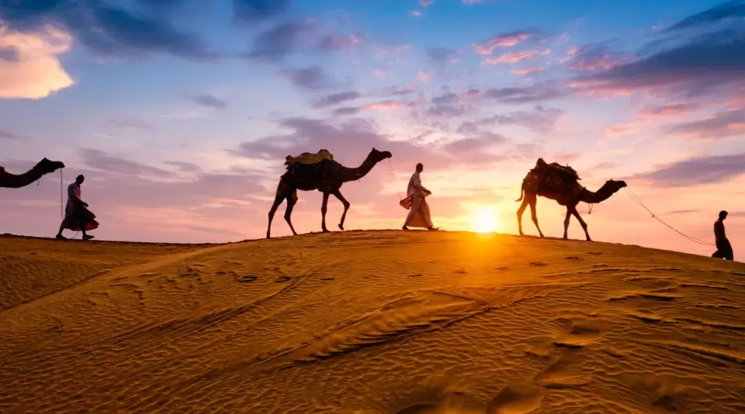 › Forever Tourism LLC Scenic Desert Safari pictures featuring dune bashing, camel rides, and sunset views over the golden Dubai desert.