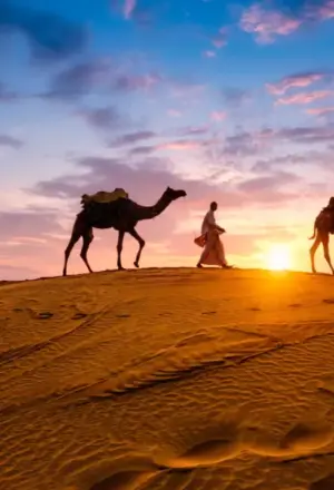 Scenic Desert Safari pictures featuring dune bashing, camel rides, and sunset views over the golden Dubai desert.
