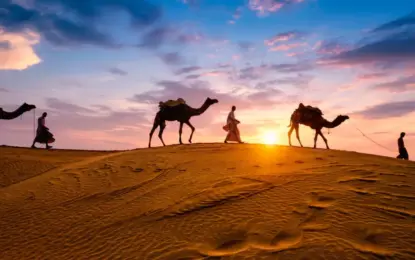 Desert Safari Pictures | Best Sunset Spot, Angles & Settings