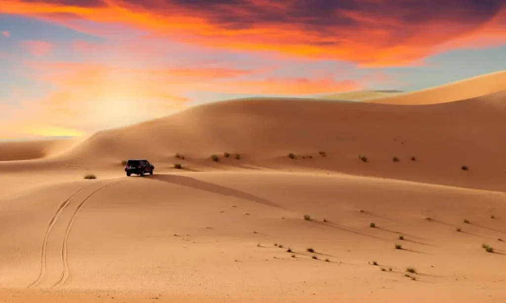Traveler enjoying sandboarding Dubai on golden desert dunes