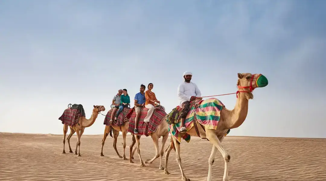 Stunning Desert Safari Dubai images showcasing golden sand dunes, thrilling dune bashing, and traditional desert experiences at sunset.