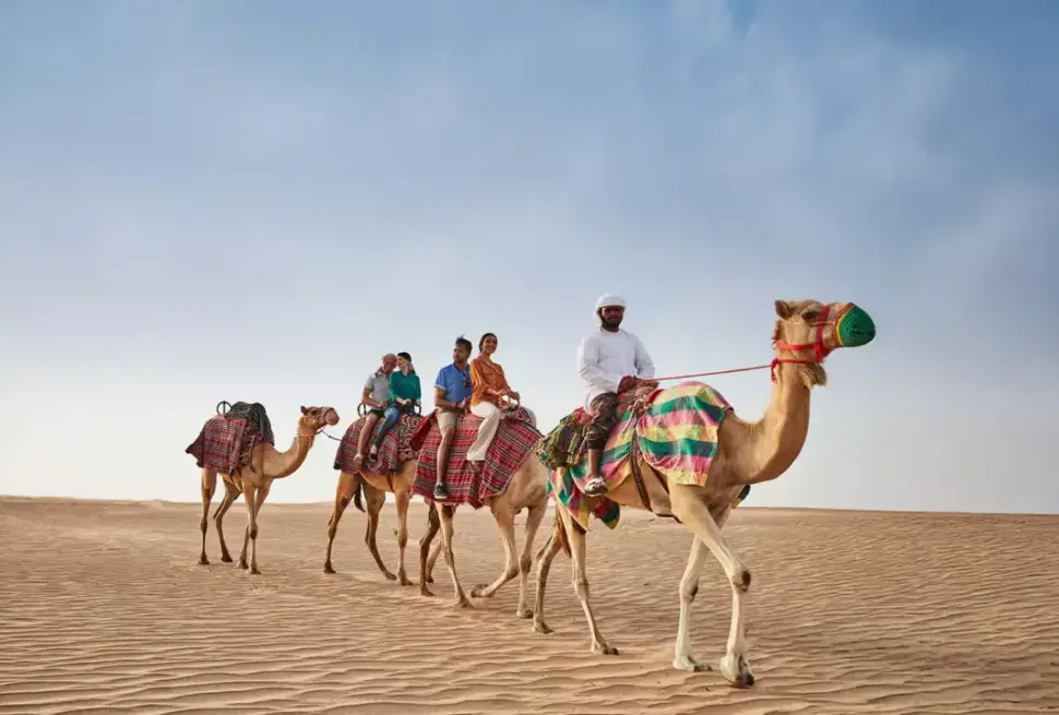 Stunning Desert Safari Dubai images showcasing golden sand dunes, thrilling dune bashing, and traditional desert experiences at sunset.