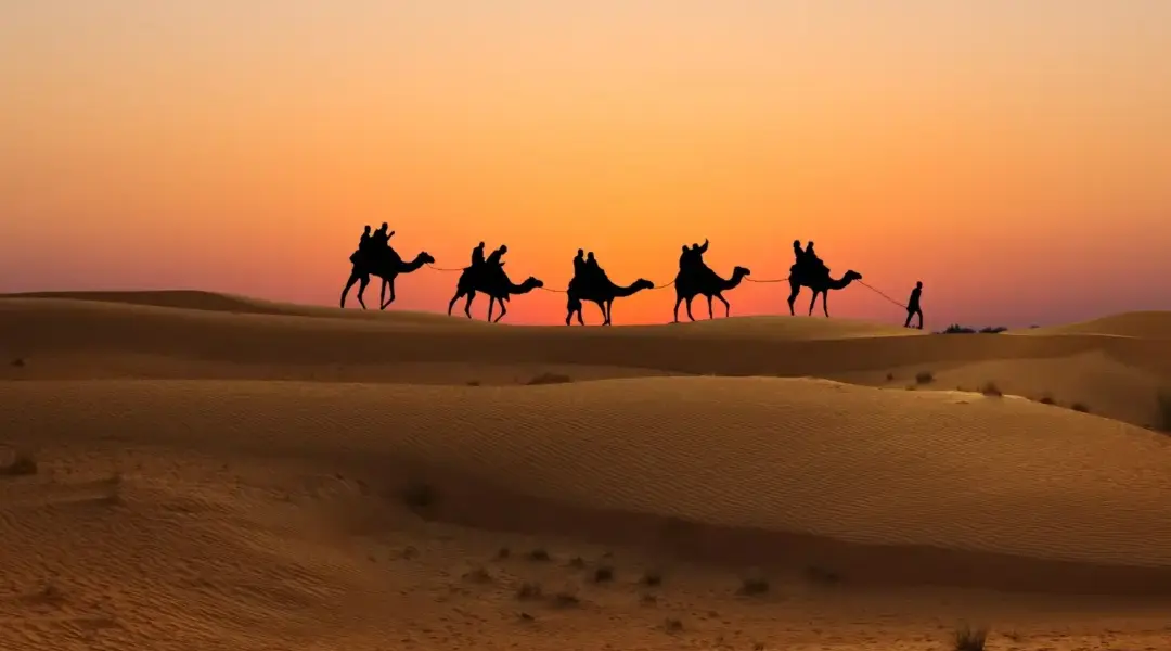 Dubai desert safari without dune bashing featuring camel rides, cultural experiences, and serene views of the Arabian desert at sunset.