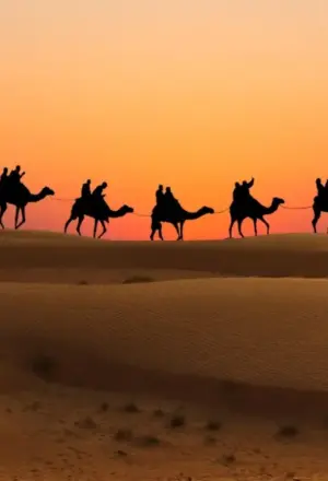 12 › Forever Tourism LLC Dubai desert safari without dune bashing featuring camel rides, cultural experiences, and serene views of the Arabian desert at sunset.