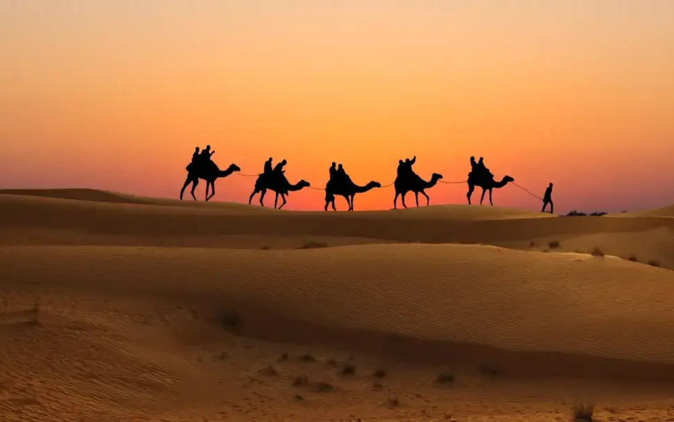 Dubai desert safari without dune bashing featuring camel rides, cultural experiences, and serene views of the Arabian desert at sunset.